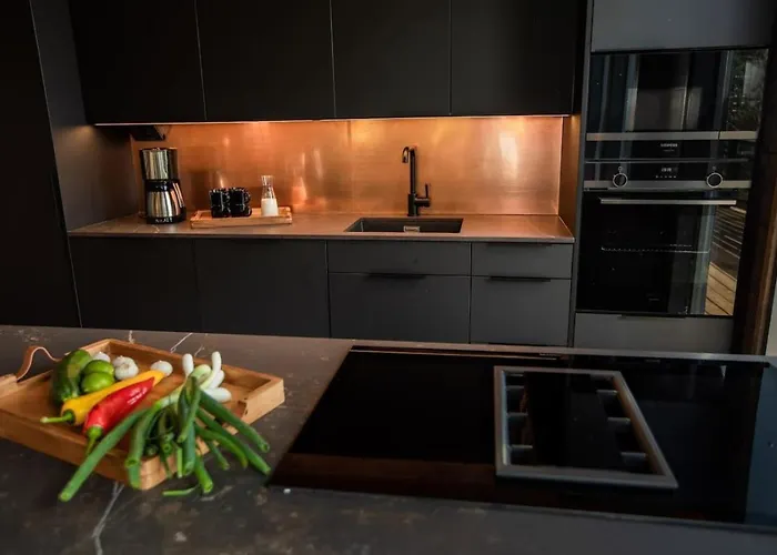 Finland - Aspen D Dom wakacyjny